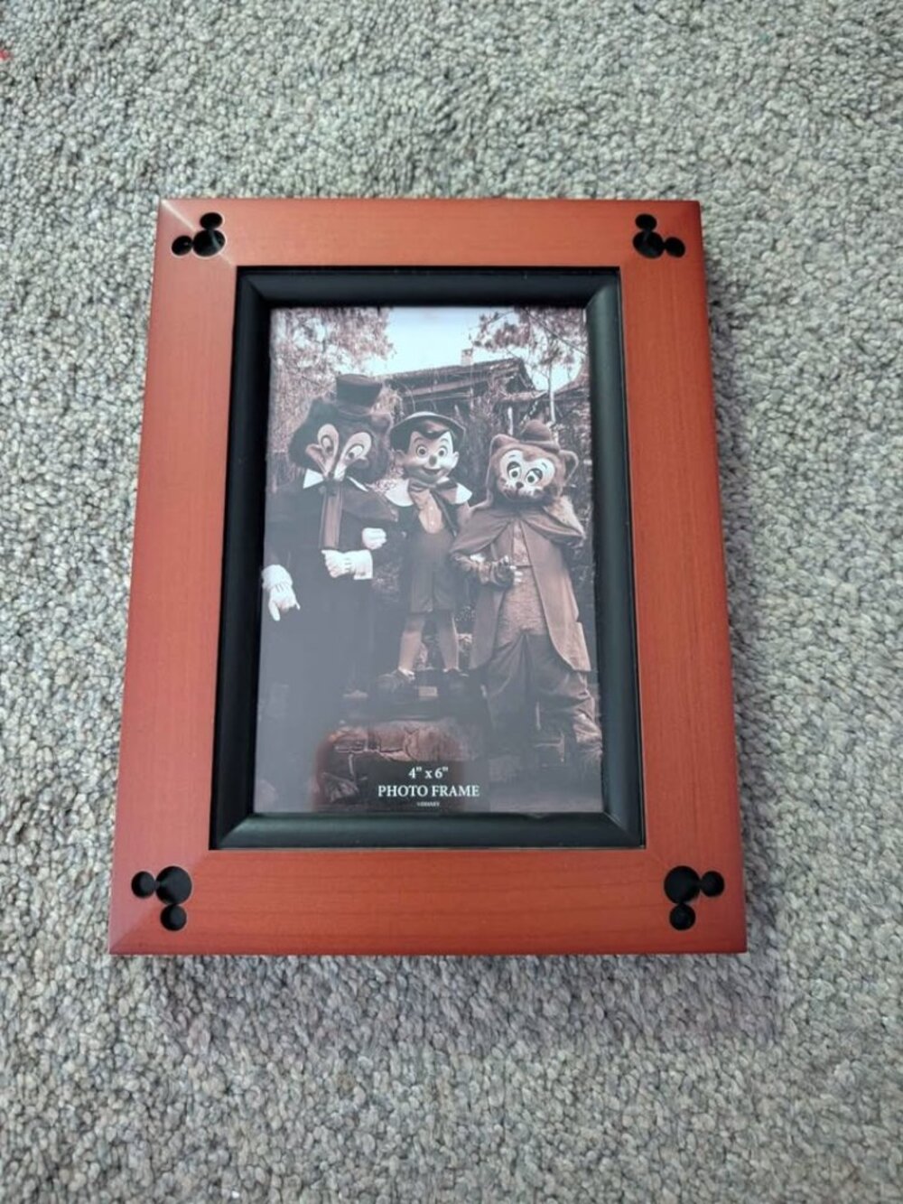 Vintage Disney photo frame